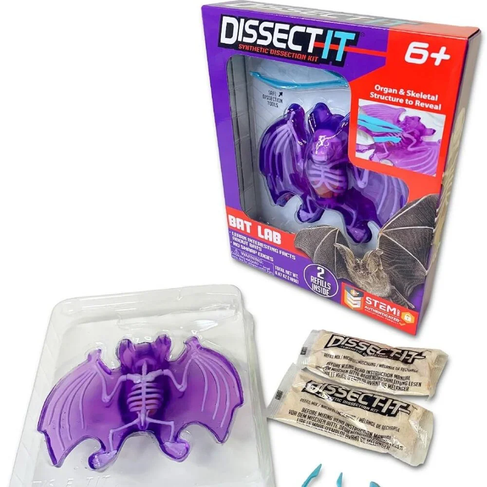 NEW Dissect-it Synthetic Lab Dissection Toy STEM KIT CRAFT Project Bat Biology A